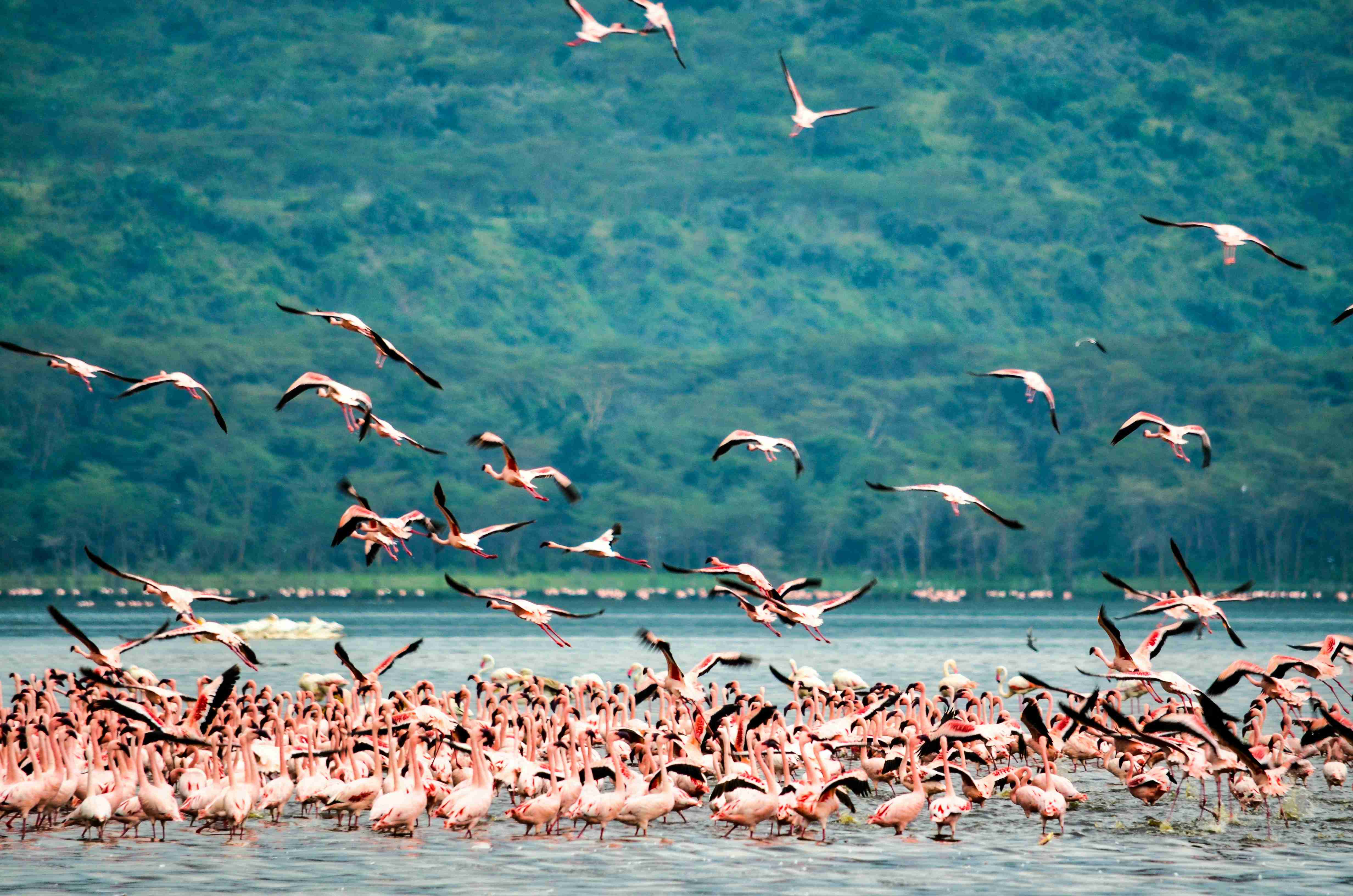 Best Places to Visit in Kenya