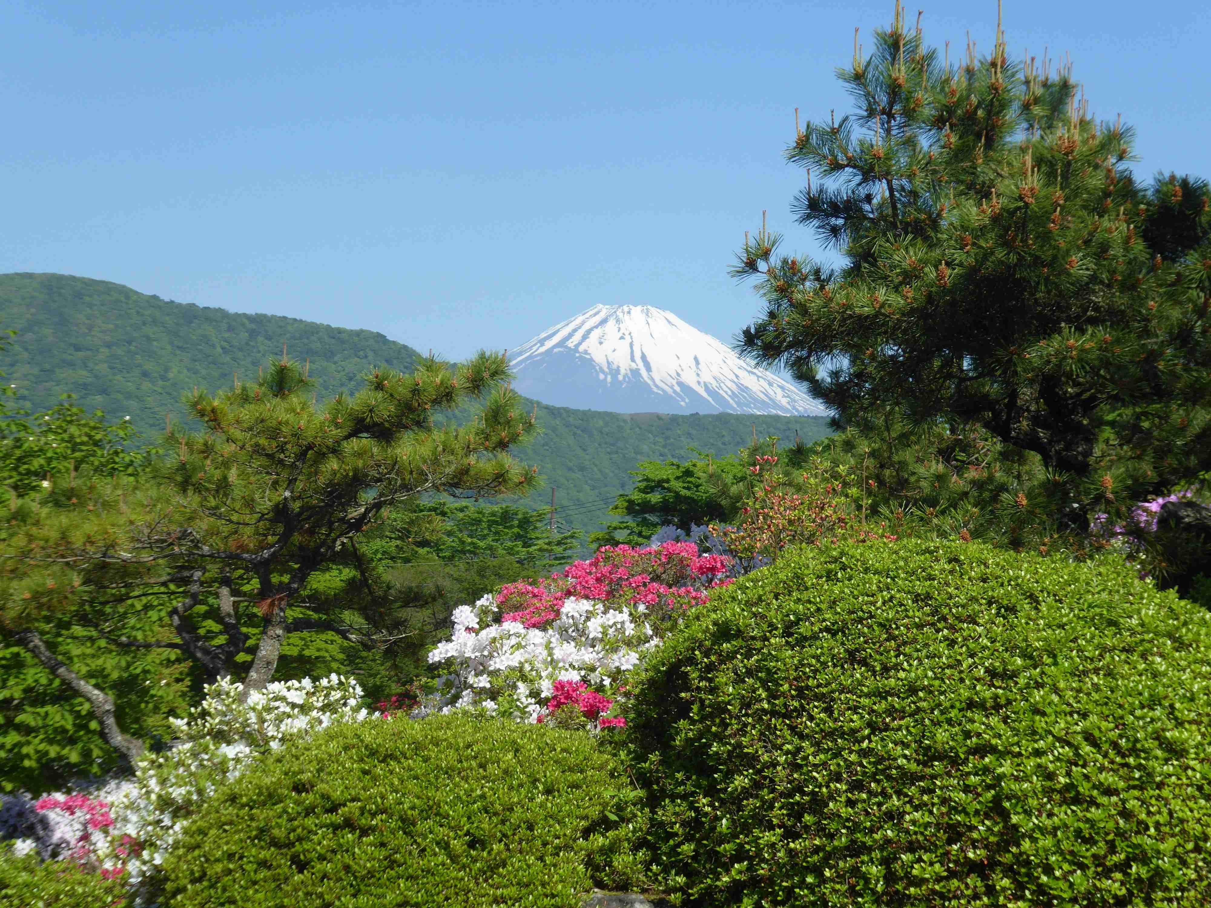 The Best Places to Visit in Japan
