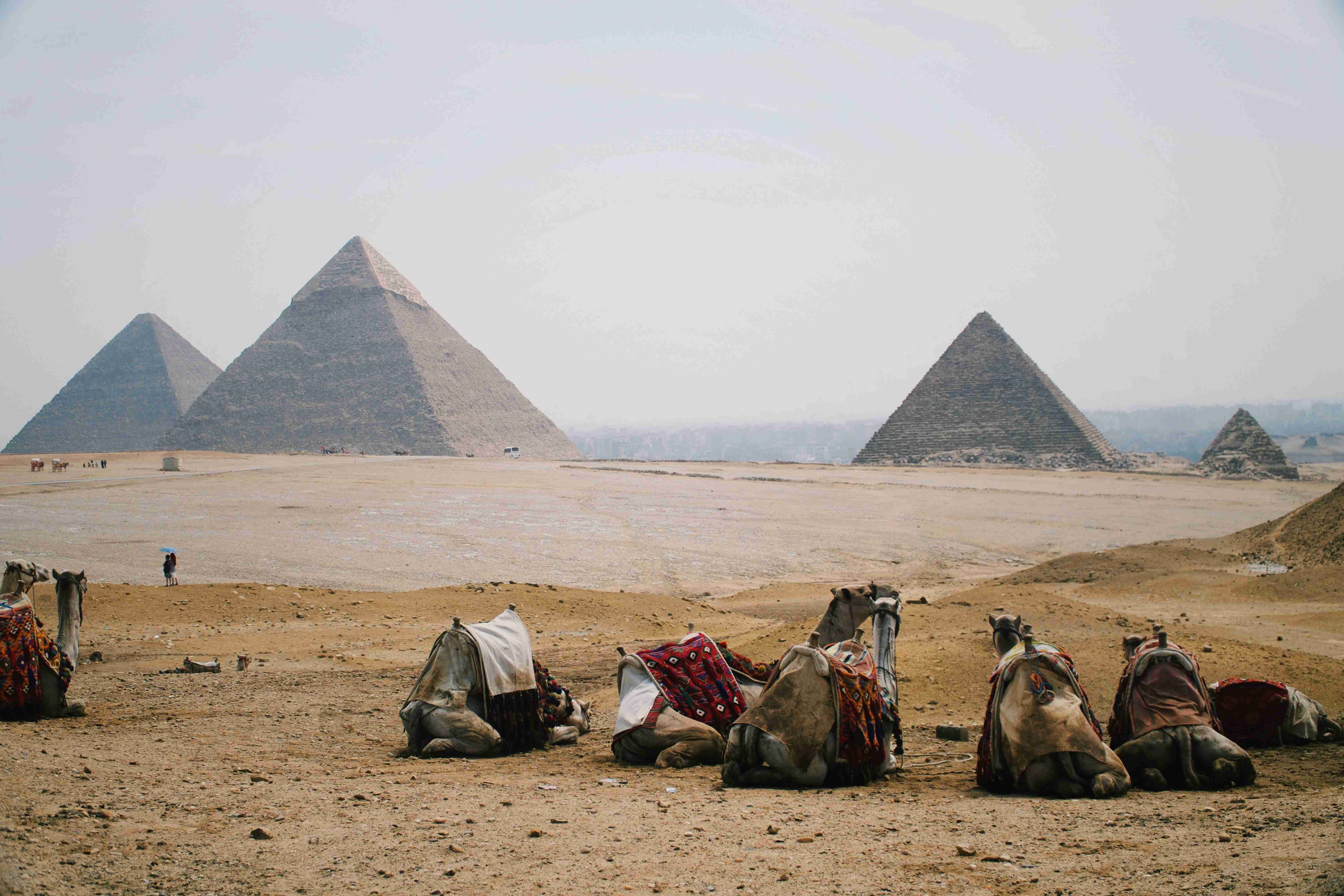 Your Comprehensive Guide to Renting a Car in Egypt