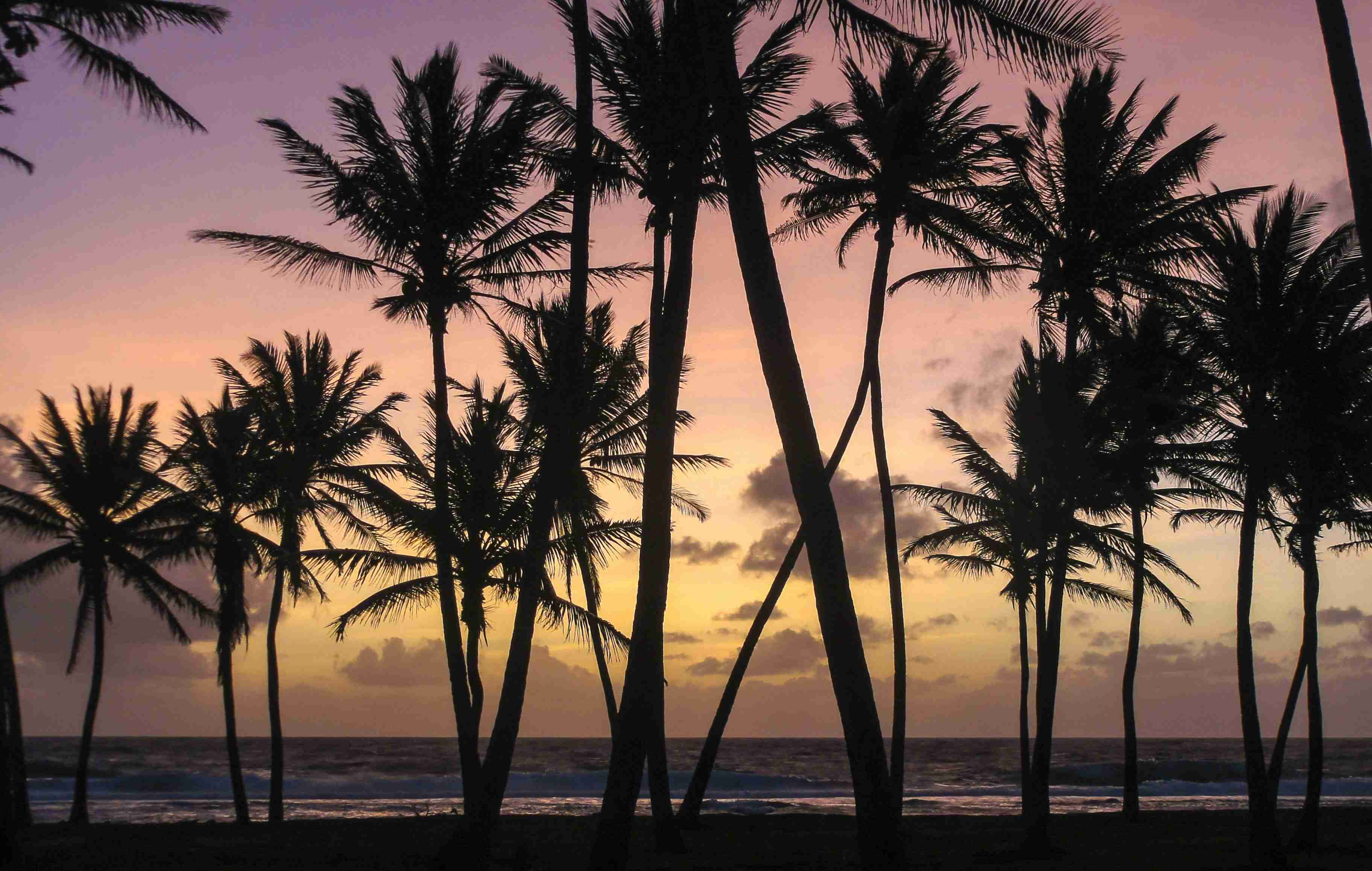 Marshall Islands Driving Guide